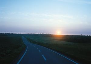 岡山・香川エリア最大級の自動車専門店！くるまのハヤシ東岡山店の魅力とサービス紹介